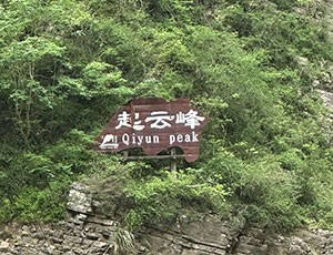 The Three Gorges Tour