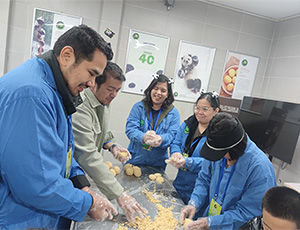 Dujiangyan Panda volunteer Tour