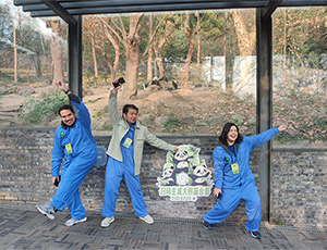 Dujiangyan Panda volunteer Tour