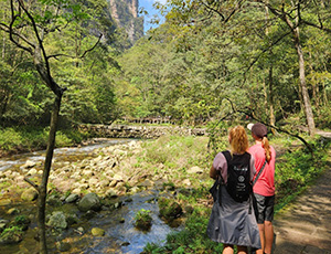 Zhangjiajie Tour