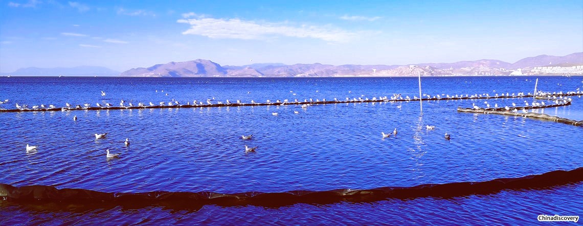 Dali Yunnan Tour
