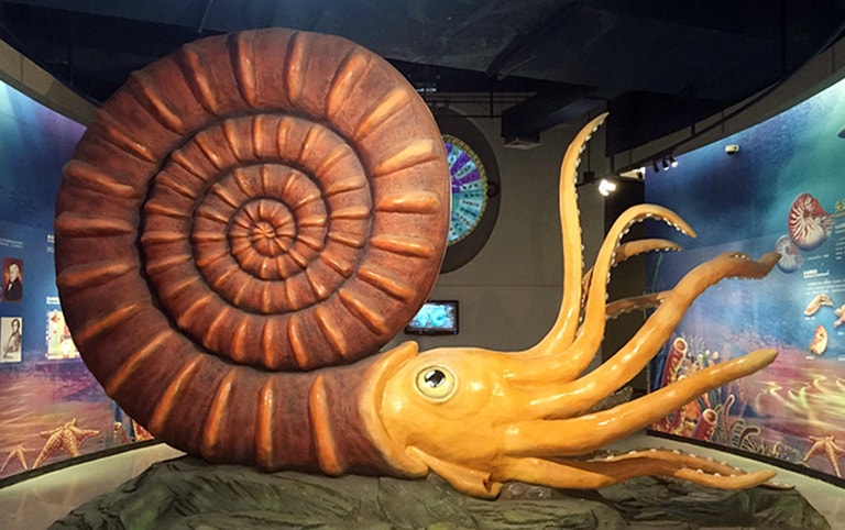 Dalian Shell Museum