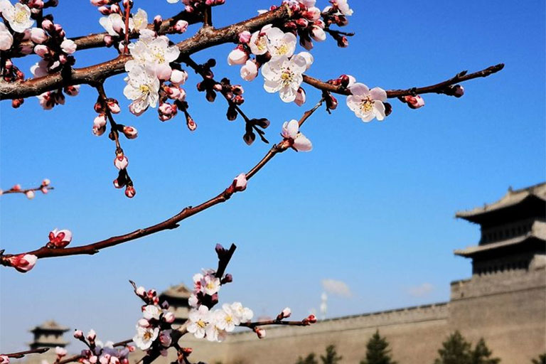 Spring in Datong