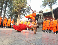 kung-fu-show