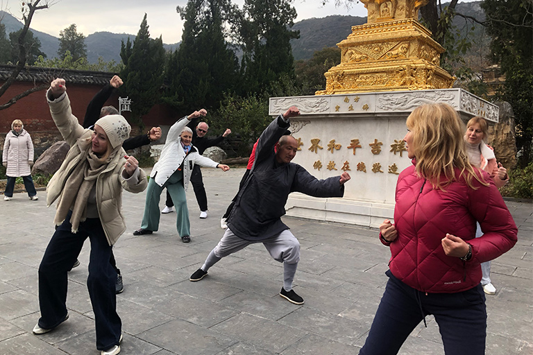 Shaolin Kung Fu Training