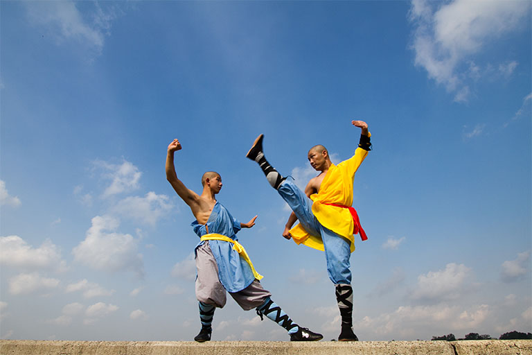X 上的ShaolinShow：「Kungfu fun. Here are the names of the poses from the last  6weeks posts. http://t.co/5wMuTFxBhX」 / X