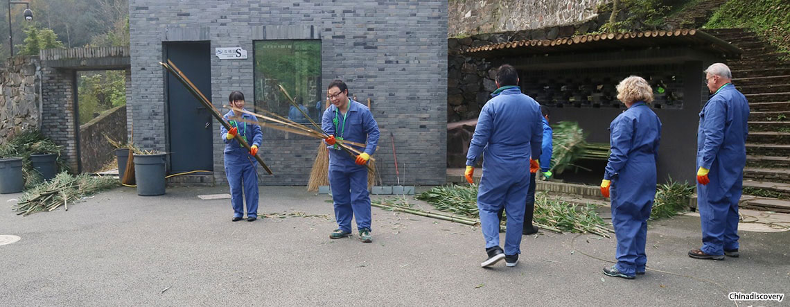 Dujiangyan Panda Volunteer Tour