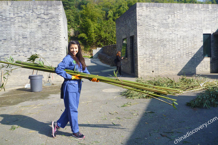 Dujiangyan Panda Volunteer