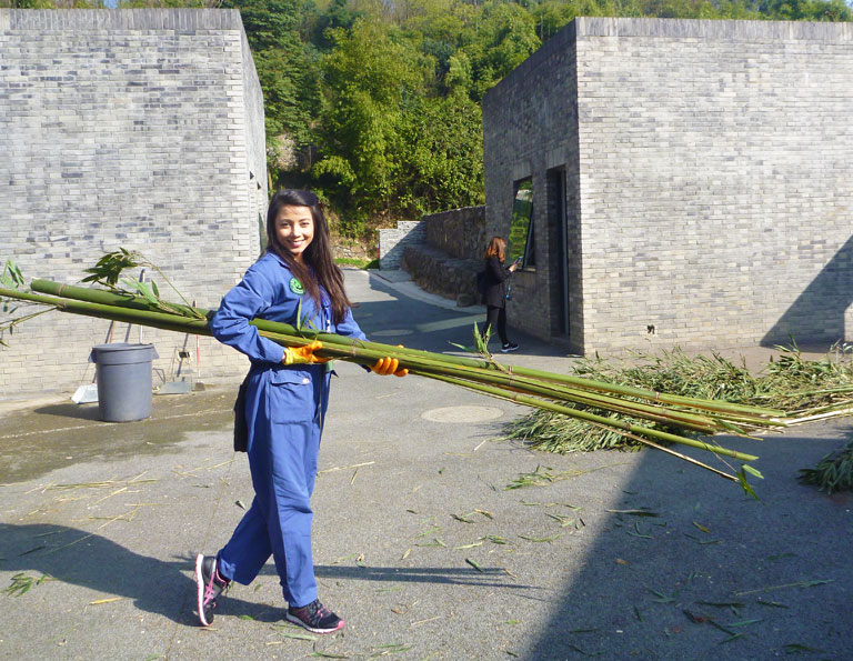 China High Speed Train Tours 