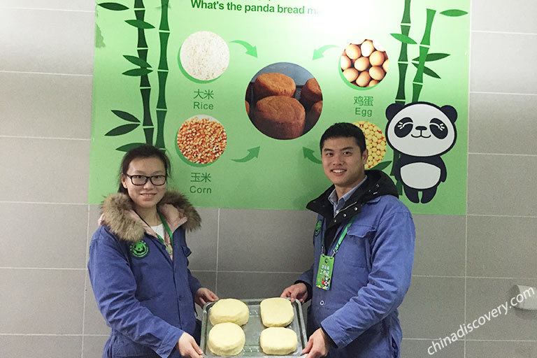Panda Volunteer Program in Dujiangyan