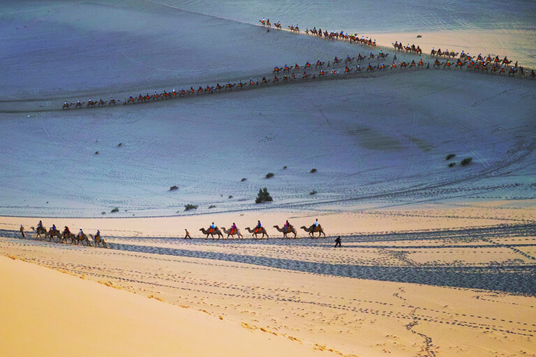 Desert Camel Ride