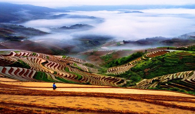 Longji Rice Terrace