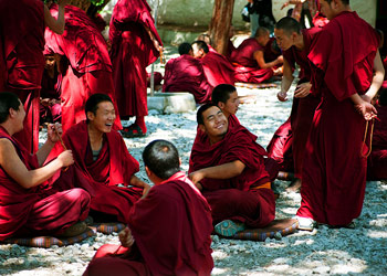 Sera Monastery Debate