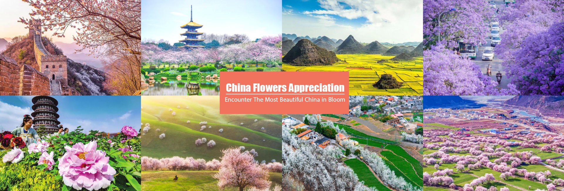 China Flower Tours