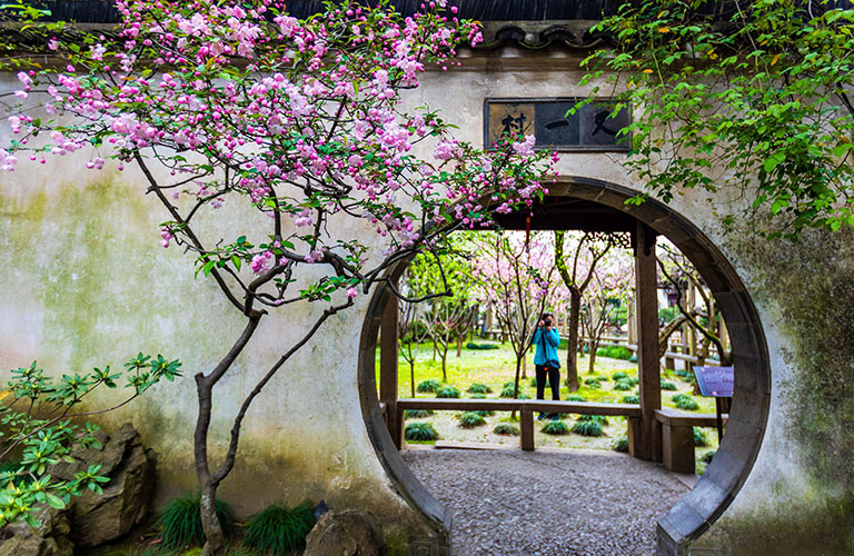 China Flower