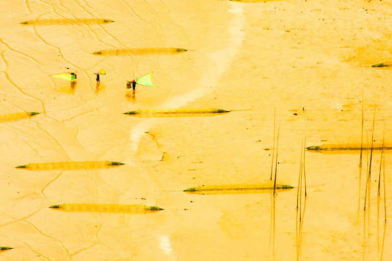 Xiapu Mudflat Xiapu Mudflat