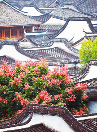 Fujian Tours