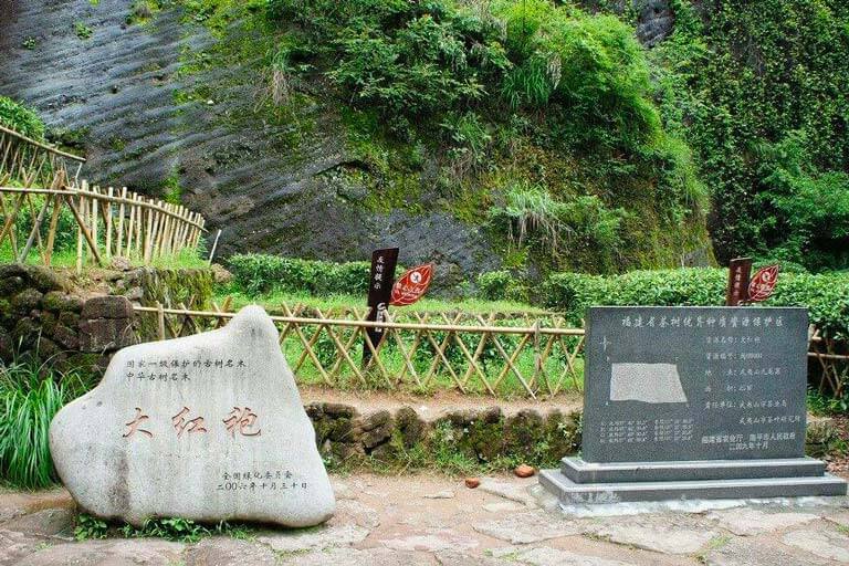 Wuyi Mountain - Dahongpao