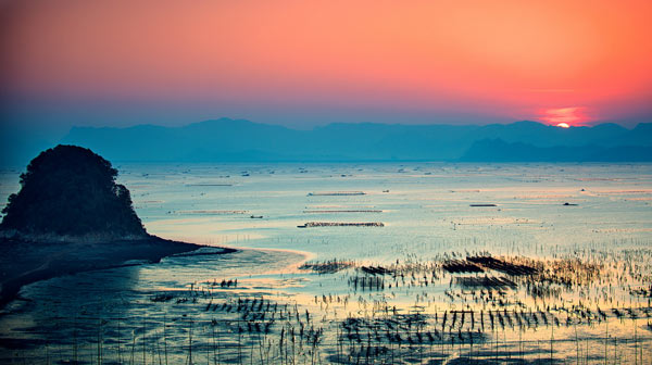 Fujian Xiapu Mudflat - Sunrise Photography