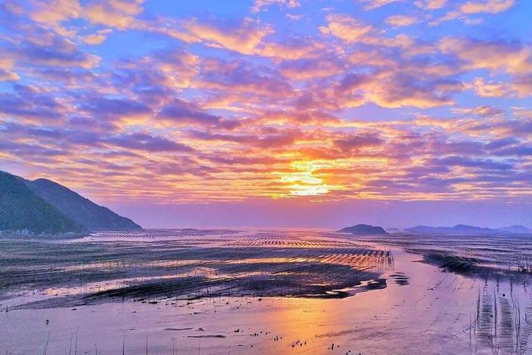 Xiapu Mudflat in Summer