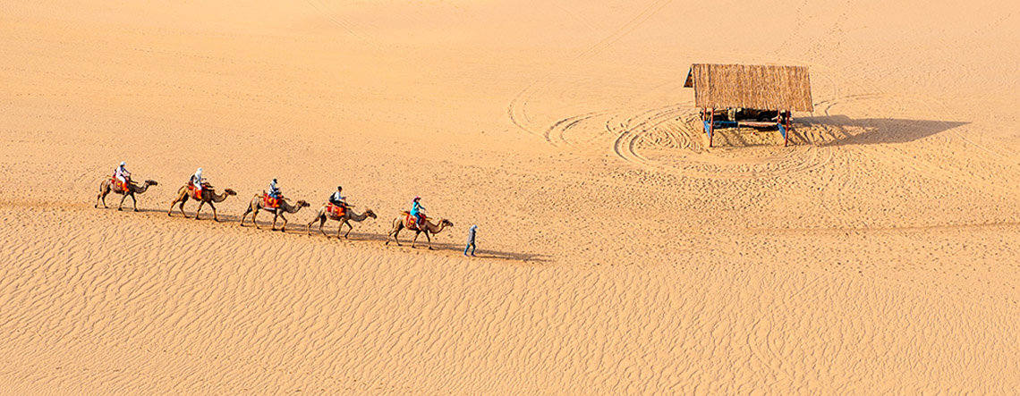 Dunhuang Day Tour 2024