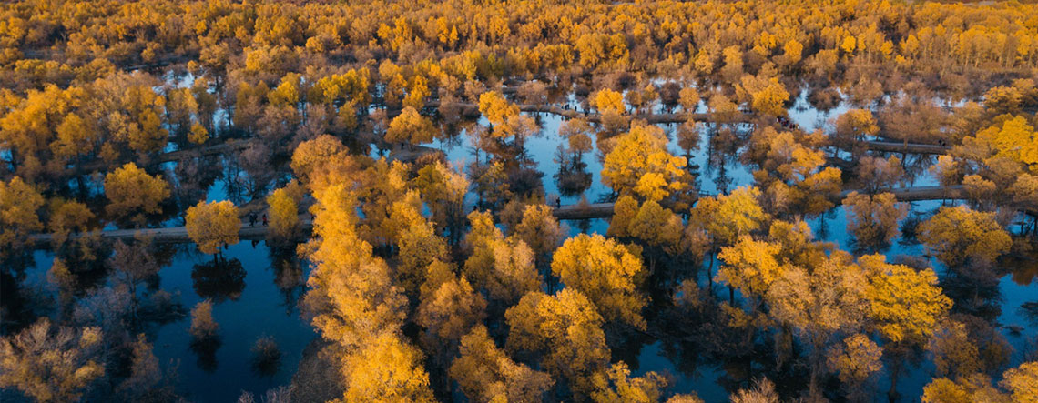6 Days Silk Road Tour with Populus Euphratica Forest Sightseeing 2025