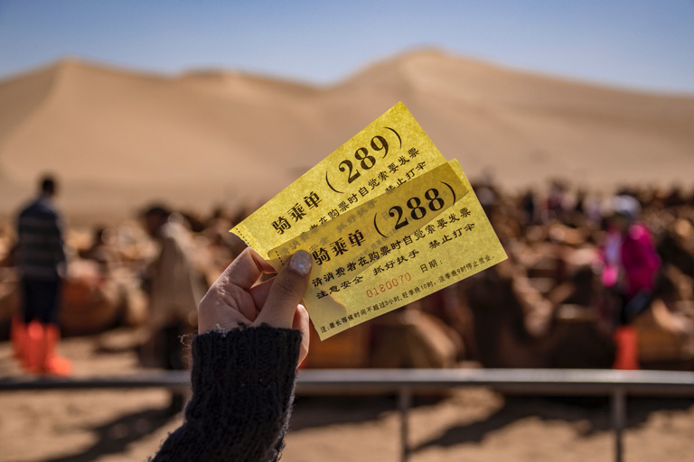 Desert Camel Ride