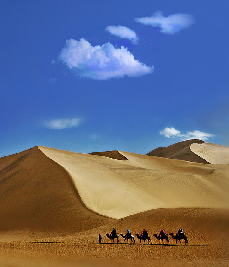 Desert Camel Ride