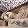 Mogao Caves
