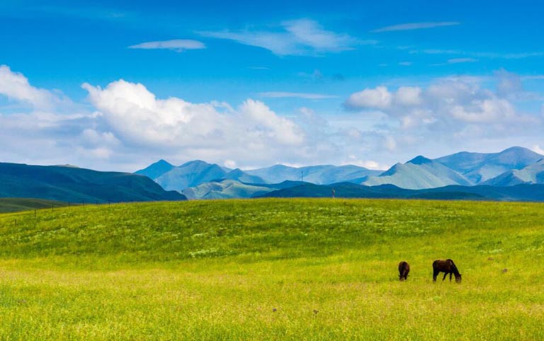 Sangke Grassland - a natural pasture of Tibetan nomads