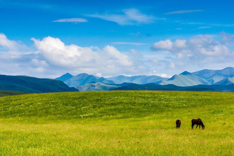 Sangke Grassland - a natural pasture of Tibetan nomads