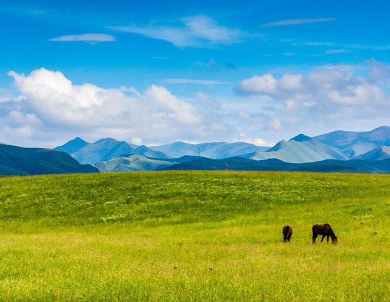 Sangke Grassland - a natural pasture of Tibetan nomads