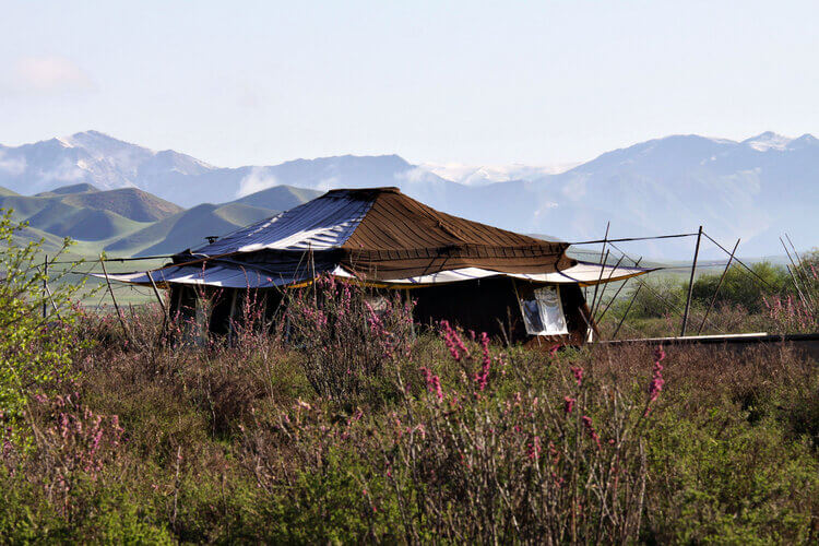 5 Days Luxury Tibetan Nomadic Camping Retreat at Norden Camp 2024/2025