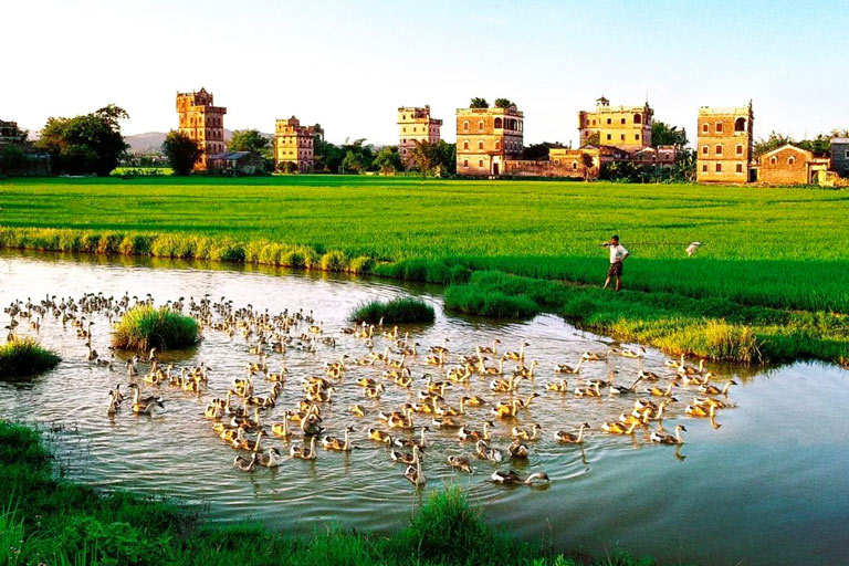 Zili Village Summer View Kaiping Diaolou and Villages - Zili Village