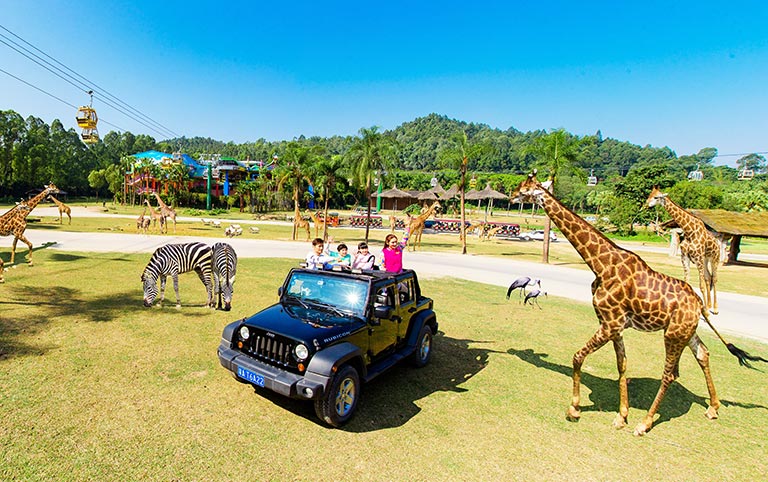 Explore Chimelong Safari Park by Car