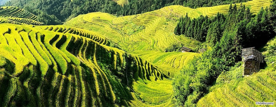 Guilin Longji Rice Terrace Tour