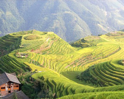 Li-an lodge
