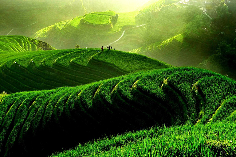 Longji Rice Terrace in Guilin