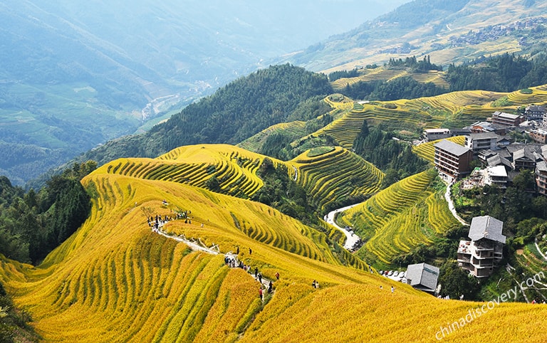 Longji Rice Terraces (Pingan Village in August)
