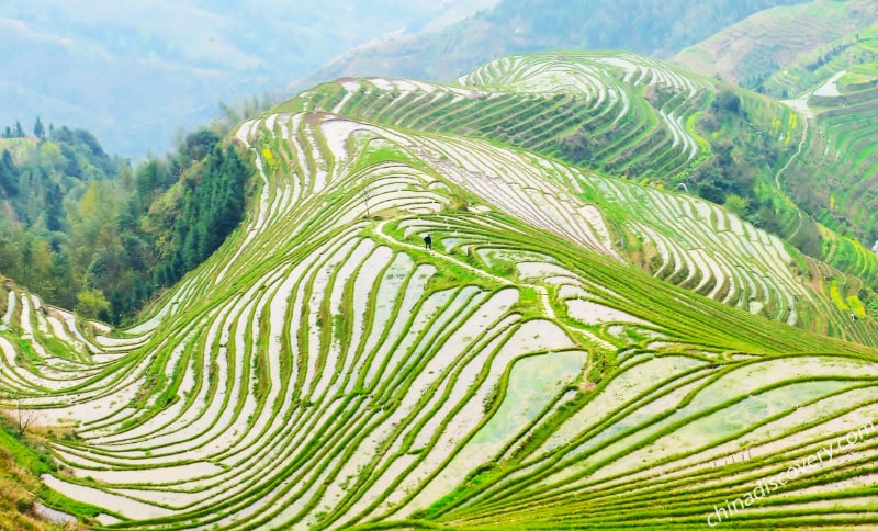 Longsheng Weather