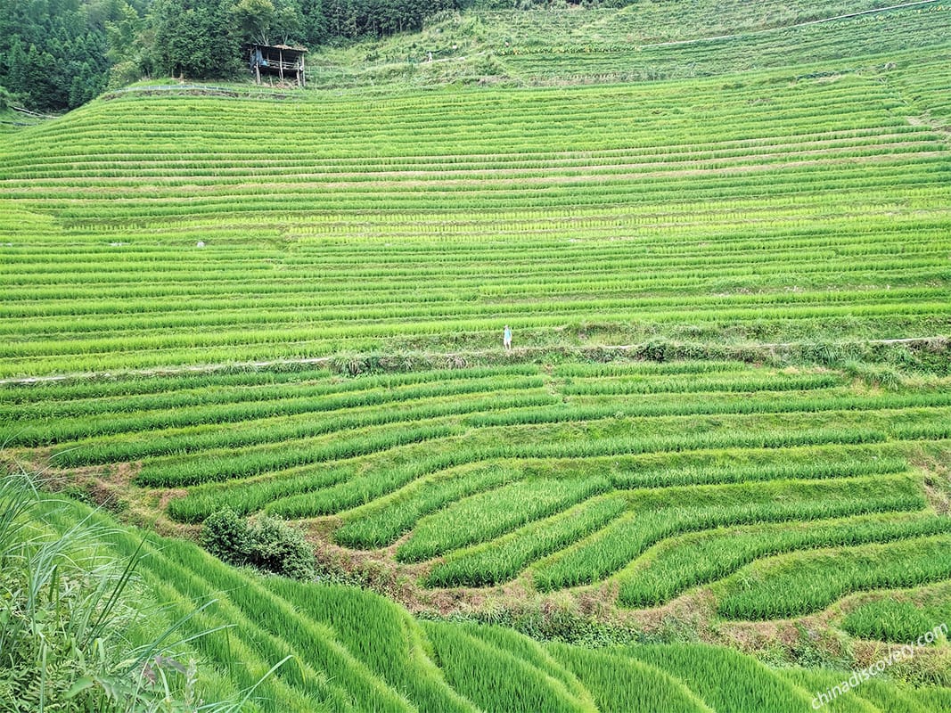 Longsheng Weather