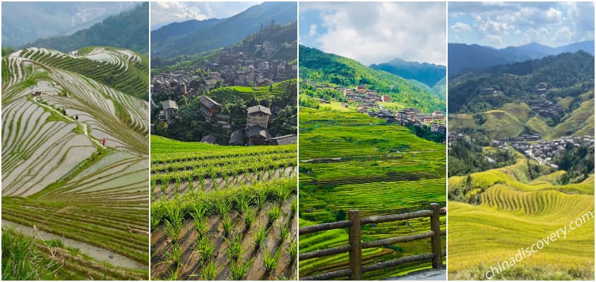 Guilin Rice Terraces