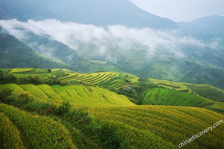 Guilin Photography -  Longji Rice Terreaces