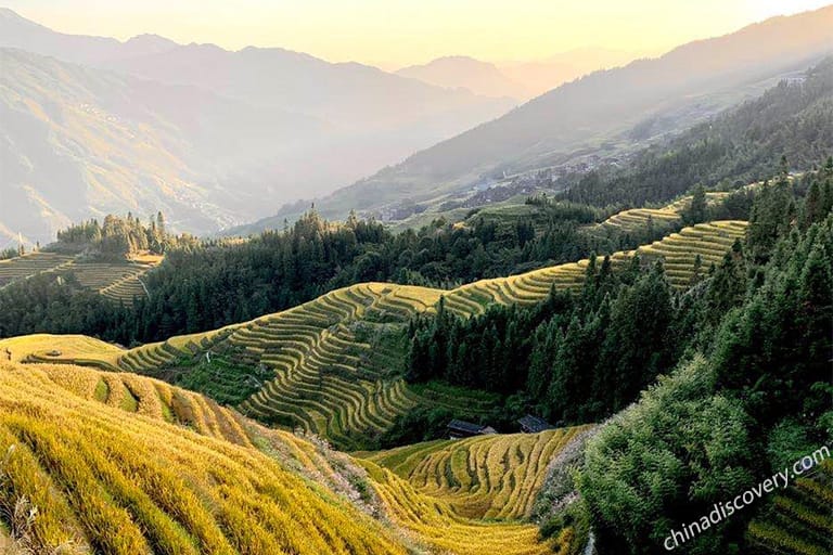 Guilin Photography -  Longji Rice Terreaces