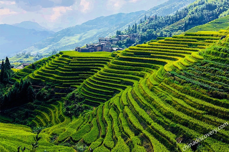 Longsheng Rice Terraces