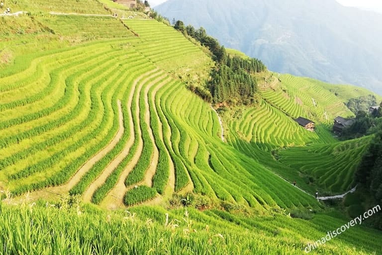 Ping’an Rice Terraces