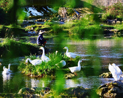 Aha Lake National Wetland Park