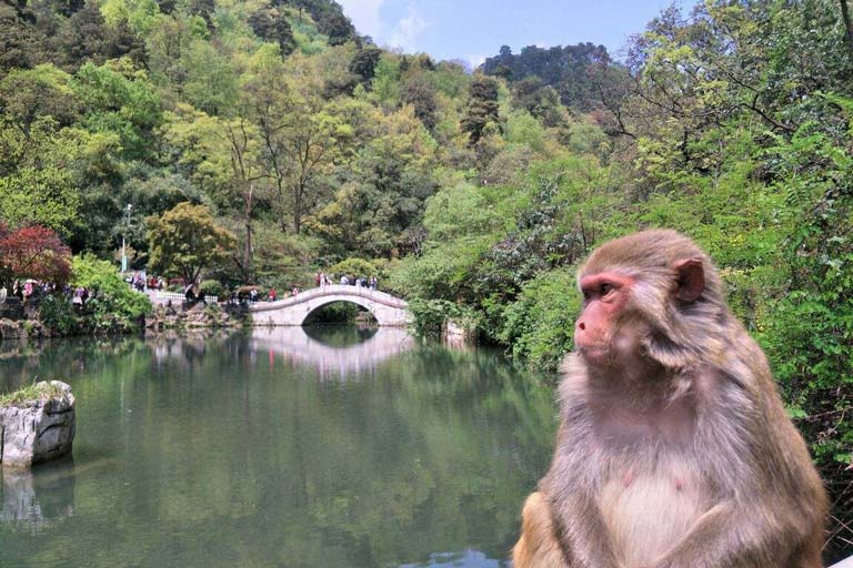 Qianling Park Guiyang Autumn