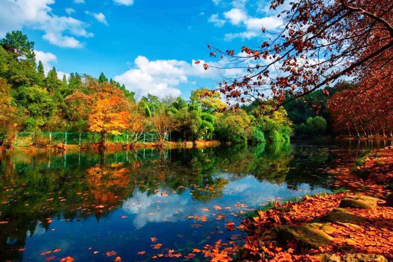 Huaxi Park Guiyang Autumn