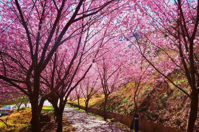 Aha Lake Wetland Park Guiyang Spring